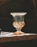 Edition: 02 - The Sunlit Pink Glass Chalice Vase